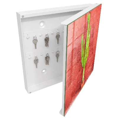 Key box for wall Green cactus