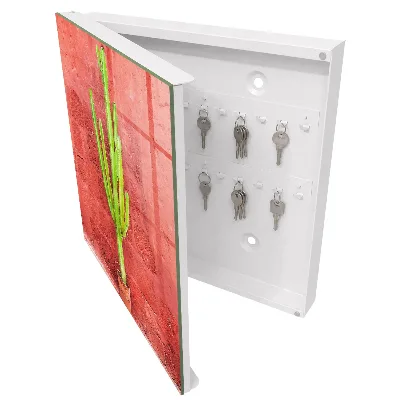 Key box for wall Green cactus