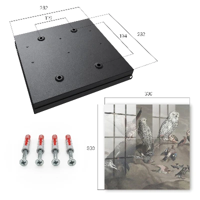 Wall mounted key box Birds on a rock