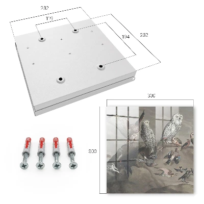 Wall mounted key box Birds on a rock