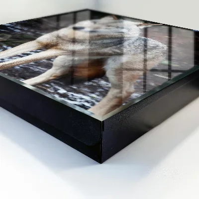 Key box for wall Wolf in the forest
