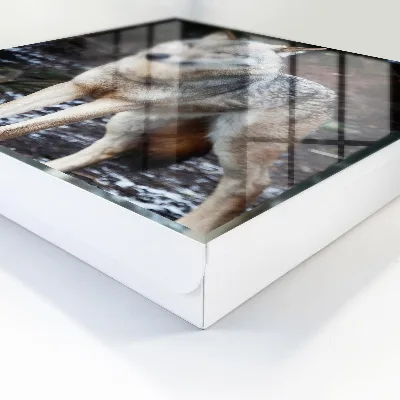 Key box for wall Wolf in the forest