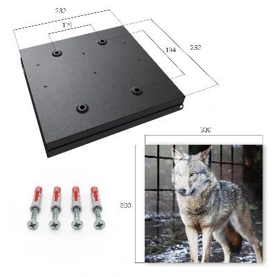 Key box for wall Wolf in the forest