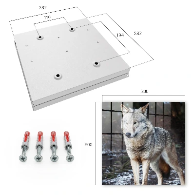 Key box for wall Wolf in the forest