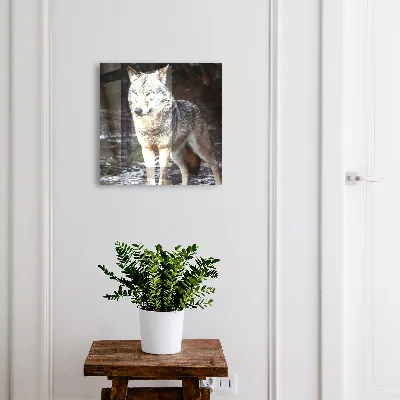 Key box for wall Wolf in the forest