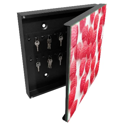 Wall mounted key box Pink raspberries