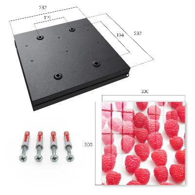 Wall mounted key box Pink raspberries