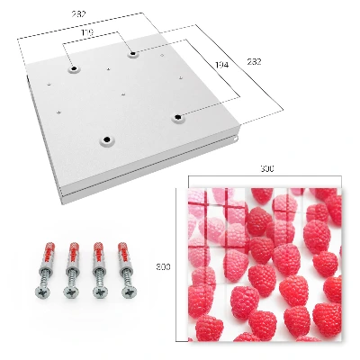 Wall mounted key box Pink raspberries
