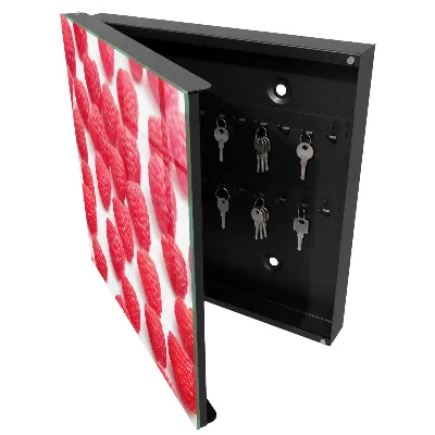 Wall mounted key box Pink raspberries
