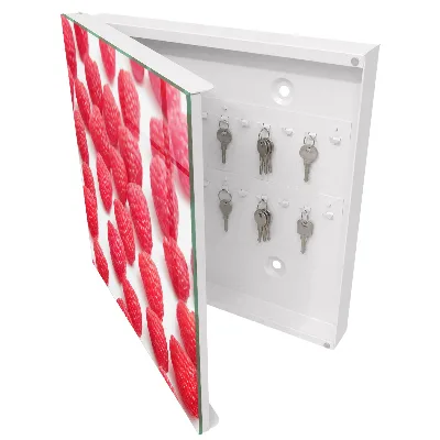 Wall mounted key box Pink raspberries