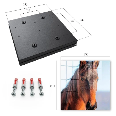 Key box for wall Horse portrait