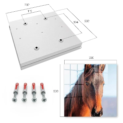 Key box for wall Horse portrait