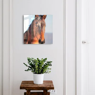 Key box for wall Horse portrait