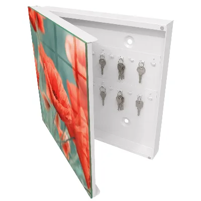 Key box for wall Red poppies