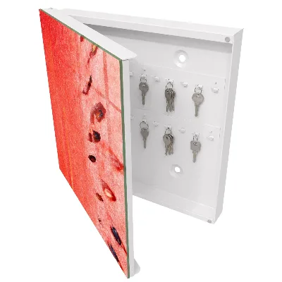 Key box for wall Juicy watermelon