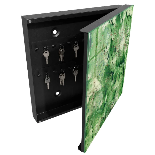 Wall mounted key box Green chaos