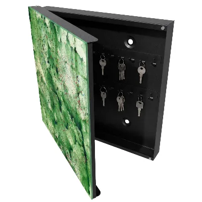 Wall mounted key box Green chaos