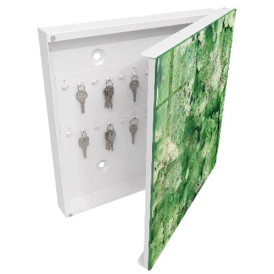 Wall mounted key box Green chaos