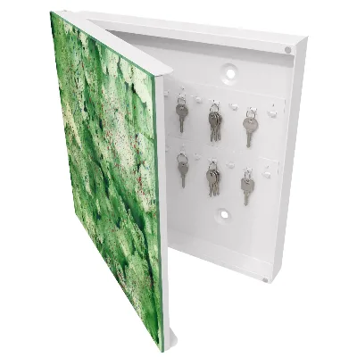 Wall mounted key box Green chaos