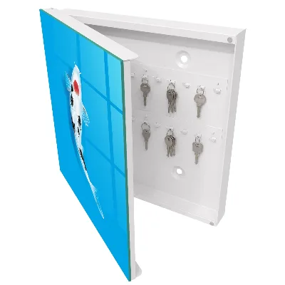 Key box for wall Koi fish