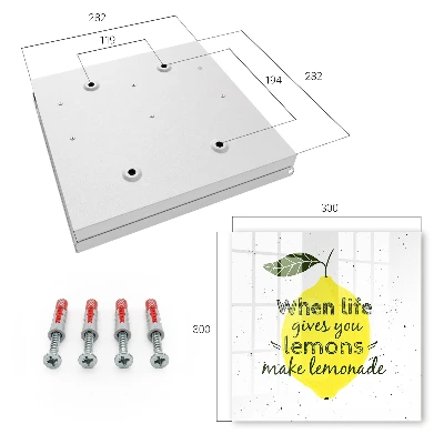 Wall mounted key box Lemon motif