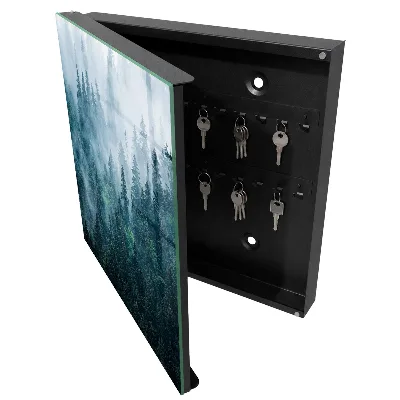 Key box for wall Green forest