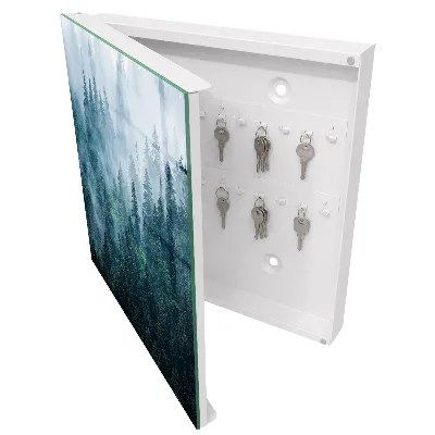Key box for wall Green forest