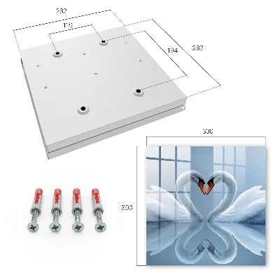 Wall mounted key box Swan love