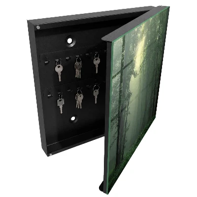 Key cabinet Forest fog