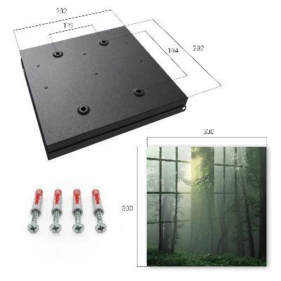 Key cabinet Forest fog