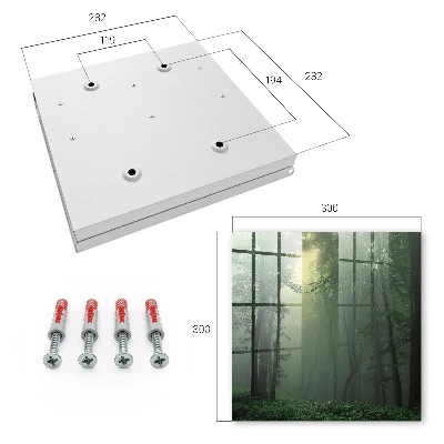 Key cabinet Forest fog