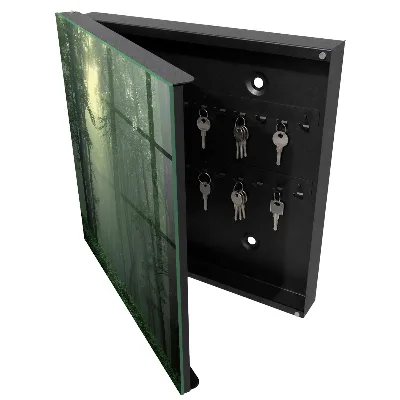 Key cabinet Forest fog