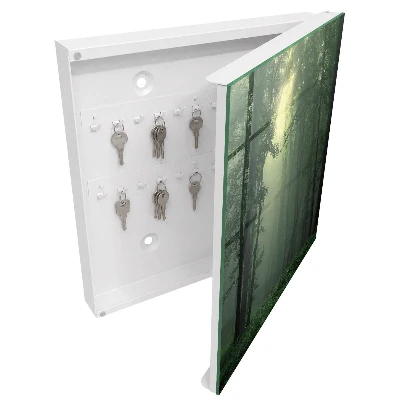 Key cabinet Forest fog