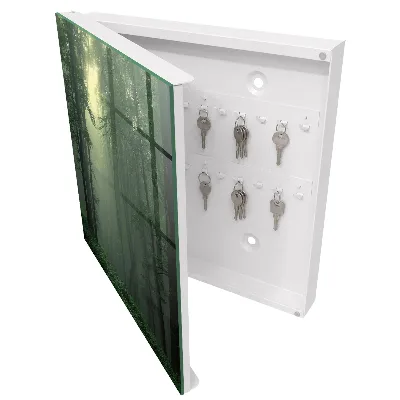 Key cabinet Forest fog