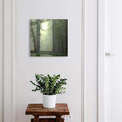 Key cabinet Forest fog