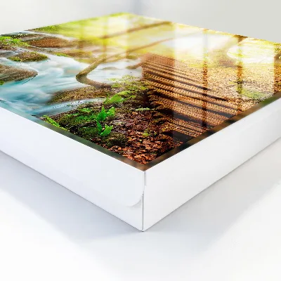 Key box for wall Forest nook
