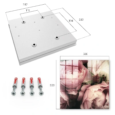 Key box for wall Rose beauty