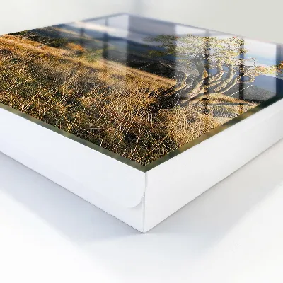 Wall mounted key box Autumn landscape