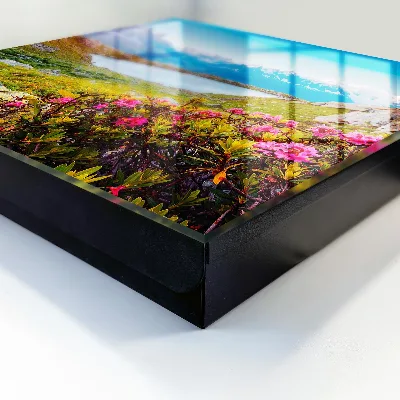 Key cabinet Mountain landscape