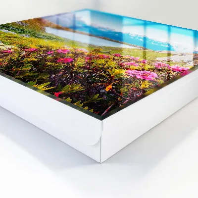 Key cabinet Mountain landscape