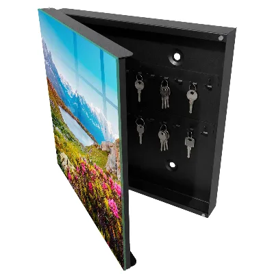 Key cabinet Mountain landscape