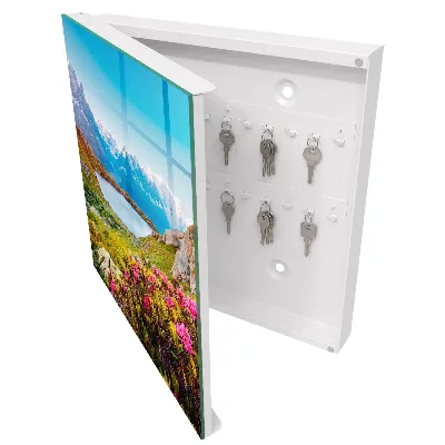 Key cabinet Mountain landscape