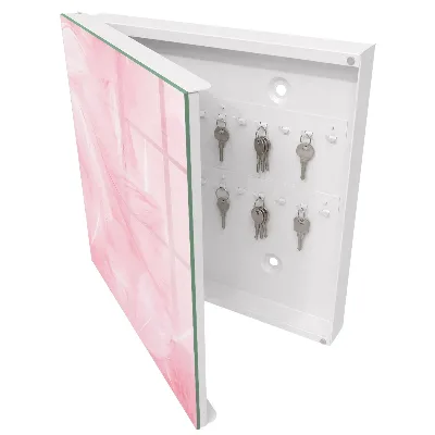 Wall mounted key box Pink feathers