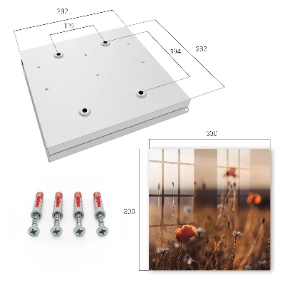 Key box for wall Poppy fields