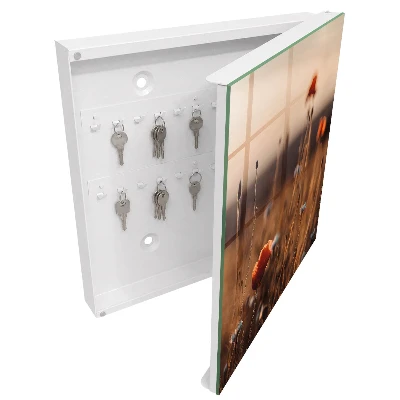 Key box for wall Poppy fields