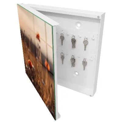 Key box for wall Poppy fields