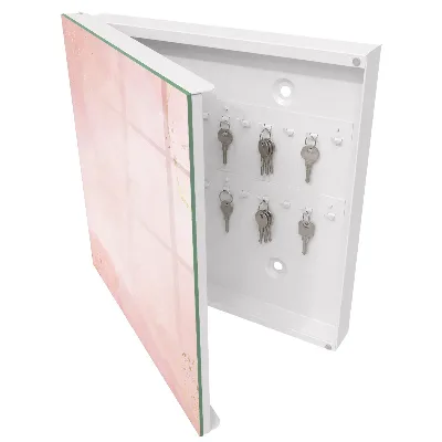 Wall mounted key box Pastel elegance