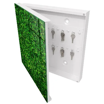 Key cabinet green garden design