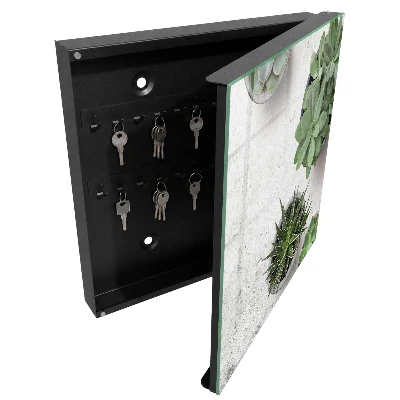 Key cabinet Green succulents