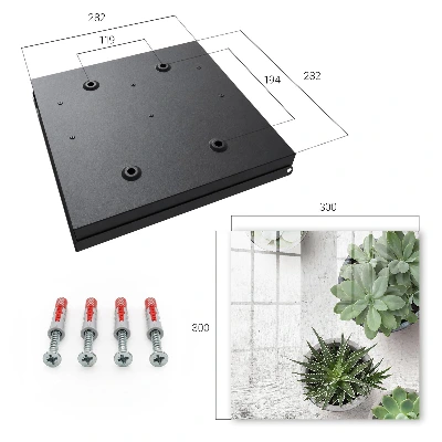 Key cabinet Green succulents